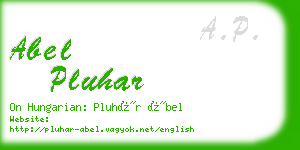 abel pluhar business card